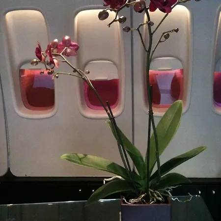 Szálloda Windsor Opera 4*