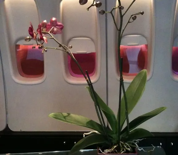 מלון Windsor Opera 4*